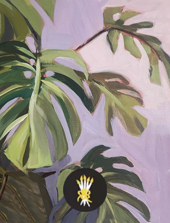 monstera_bon
